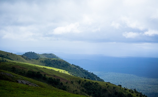是立竿见影 是立竿见影