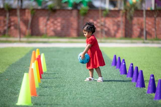 冬会等区域 冬会等区域