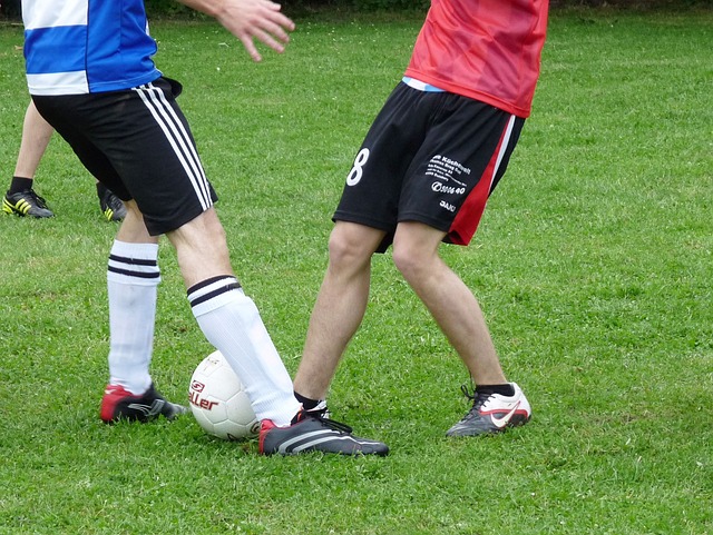 莱万特利用 莱万特利用