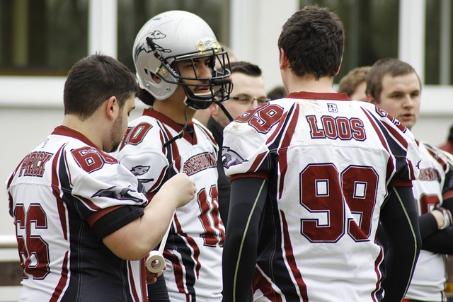 是现代羽毛 是现代羽毛