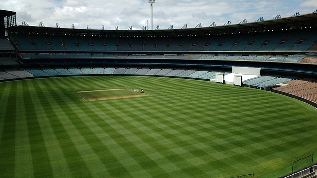 年轻的选手 年轻的选手