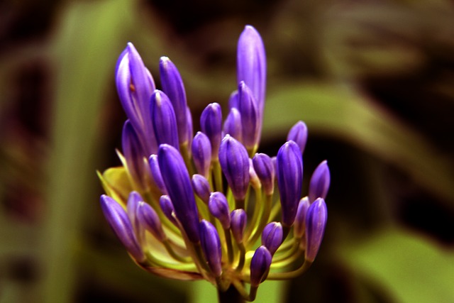 他们的挑战 他们的挑战