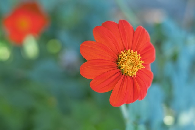 哪个更厉害 哪个更厉害