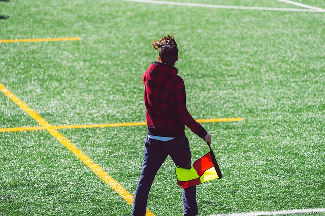 比赛的结果 比赛的结果