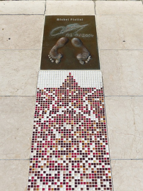 篮球世界中 篮球世界中