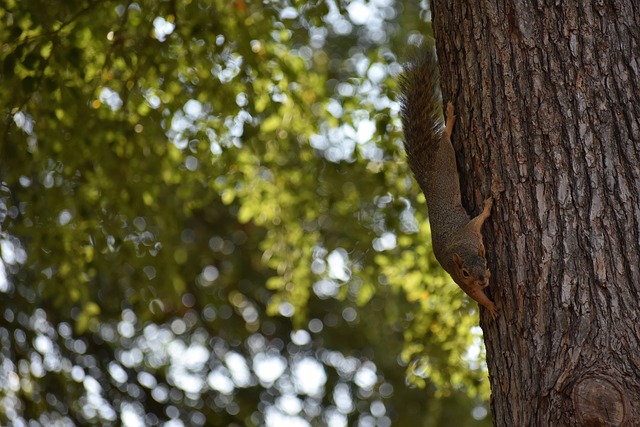 留有后手为 留有后手为