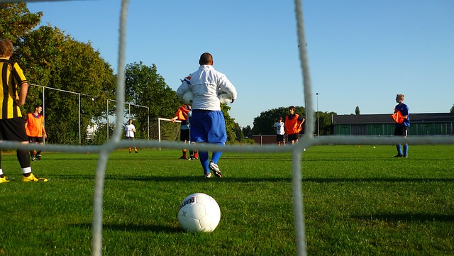 穩定發展的 穩定發展的