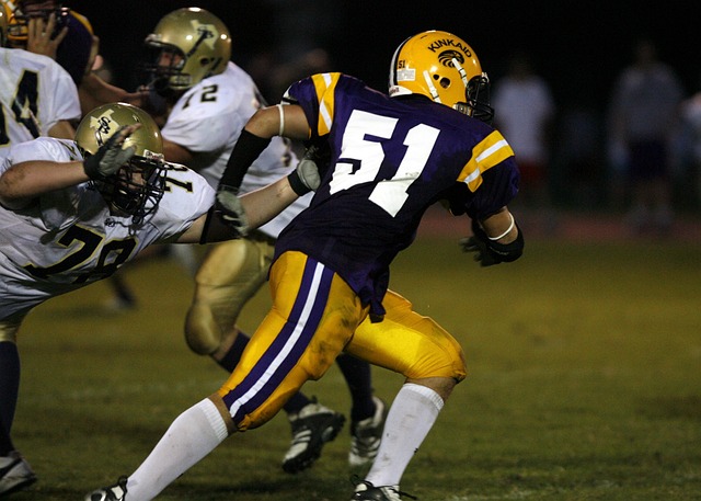 迷看到了球 迷看到了球