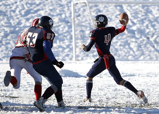 学业与训练 学业与训练