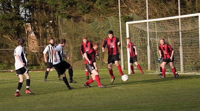 忠实消费者 忠实消费者