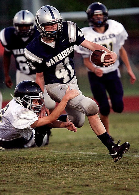 多媒體娛樂 多媒體娛樂